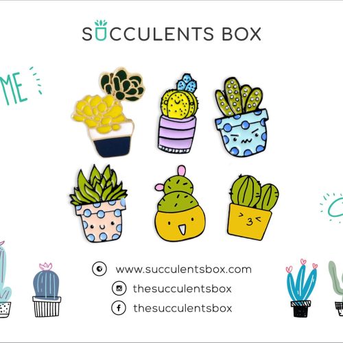 Funny Cartoon Potted Succulents Pin for sale, Cactus in a Pot Pin Badge, Succulent Gift Ideas