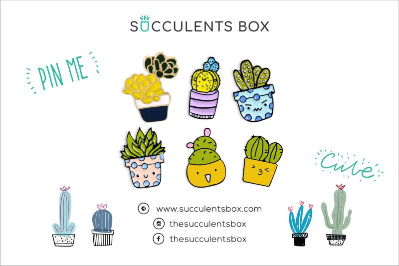 Funny Cartoon Potted Succulents Pin for sale, Cactus in a Pot Pin Badge, Succulent Gift Ideas