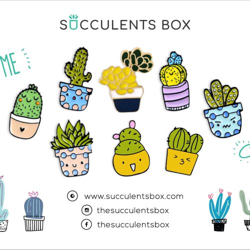 Funny Cartoon Potted Succulents Pin for sale, Cactus in a Pot Pin Badge, Succulent Gift Ideas