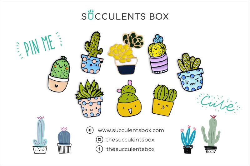 Funny Cartoon Potted Succulents Pin for sale, Cactus in a Pot Pin Badge, Succulent Gift Ideas