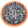 Bean Pebbles Decorative Pebbles for sale, Landscapes DIY Minigarden, Assorted Size Rocks For Landscaping Backyards, Pools, Crafts Or Wedding