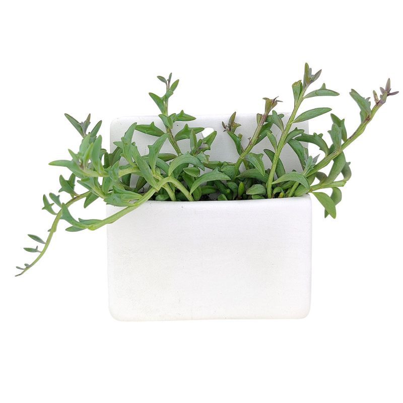 RectangleHangingPlanter 1