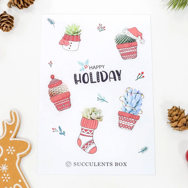 SUCCULENT HOLIDAY STICKERS