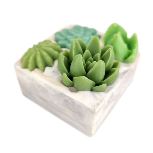 SucculentsGardenSoap