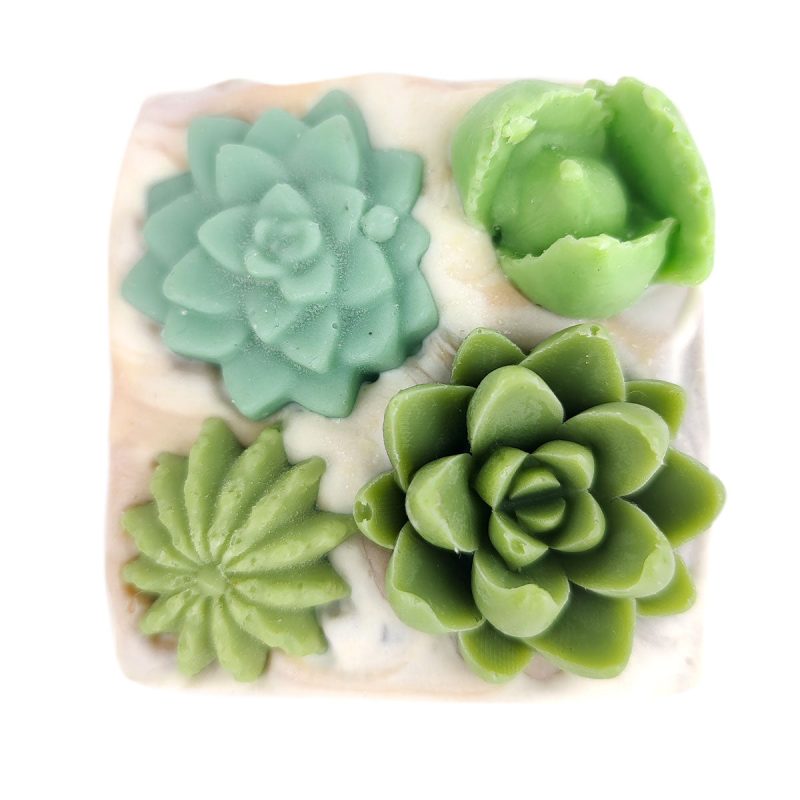 SucculentsGardenSoap 1