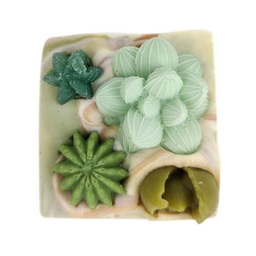 SucculentsGardenSoap 3