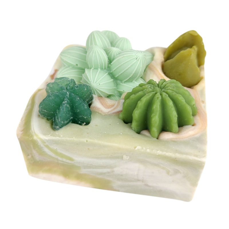 SucculentsGardenSoap 4