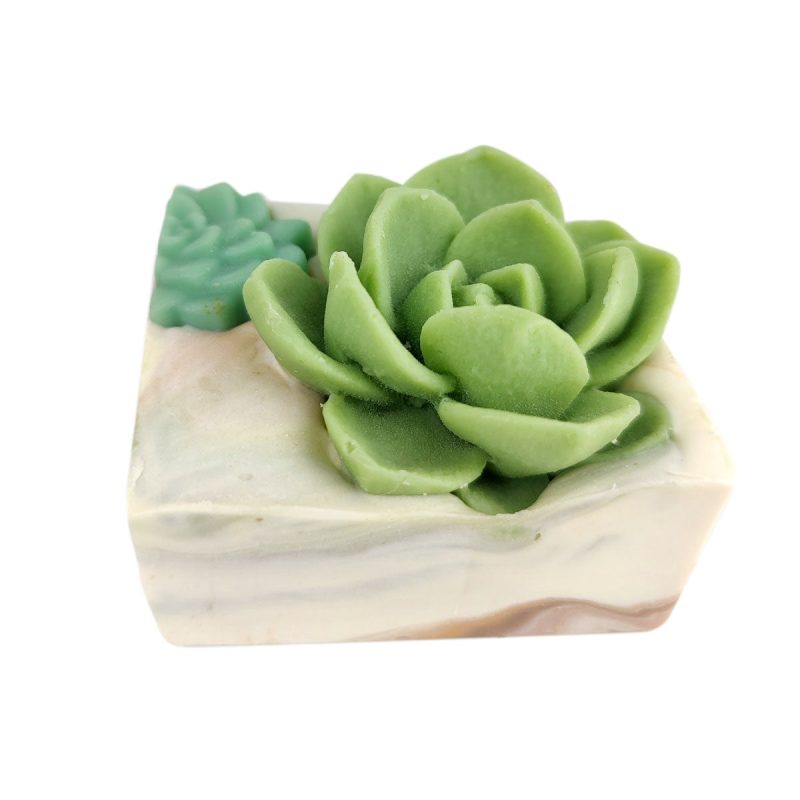 SucculentsGardenSoap 5