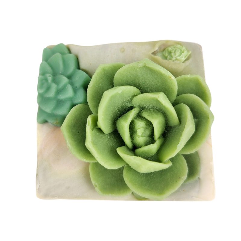 SucculentsGardenSoap 6