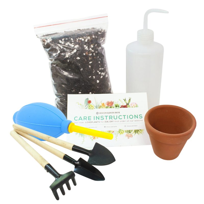 Succulent Beginner Kit for sale, Succulent Plant Starter Kit for sale, Succulent Gift for Beginners, Succulents Gift Ideas