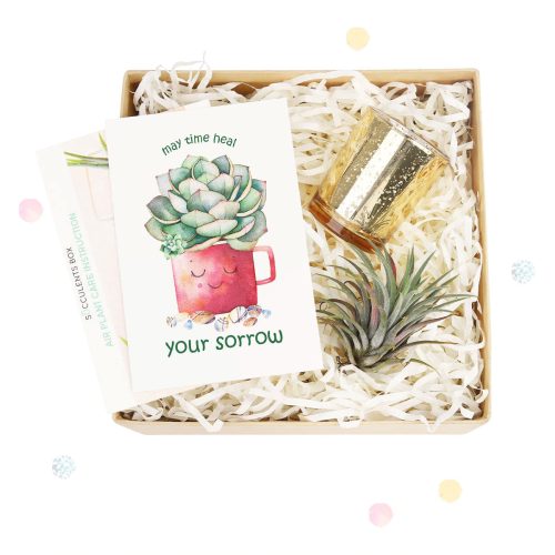 Employee appreciation day 2023 ideas, Succulents and cactus make awesome wedding favors, Succulent gifts are a great choice for any wedding, Succulents wedding decorations ideas, Succulent wedding table arrangements