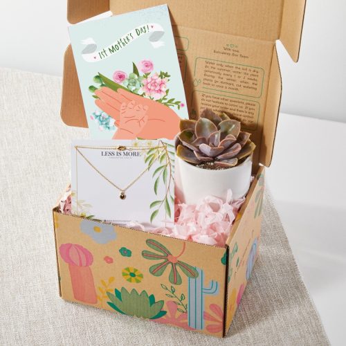 mother's day gift box, gift box ideas for mother's day, succulents gift box, gift box with jewelry for mom, gift box with greeting card, cute gift box for mother's day, first mother's day gift box