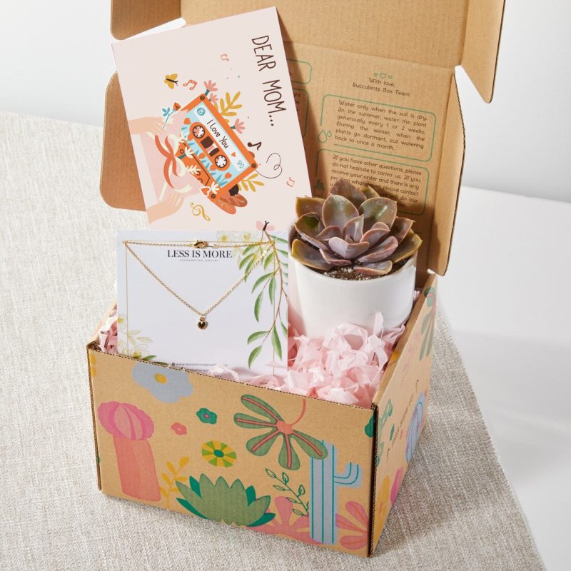 mother's day gift box, gift box ideas for mother's day, succulents gift box, gift box with jewelry for mom, gift box with greeting card, cute gift box for mother's day, lovely mother's day gift box