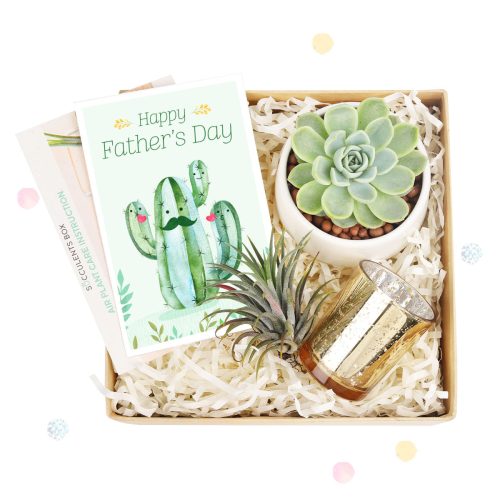 Father's Day Gift Box, Father's Day Gift Box Ideas, Plant Dad Gifts, Gifts for Dad, Father's Day Gifts Delivery 2023, Plant Gifts for Men, Happy Father's Day Gift, Succulent Gift for Men, Thank You Gift Dad, Appreciation Gift for Dad