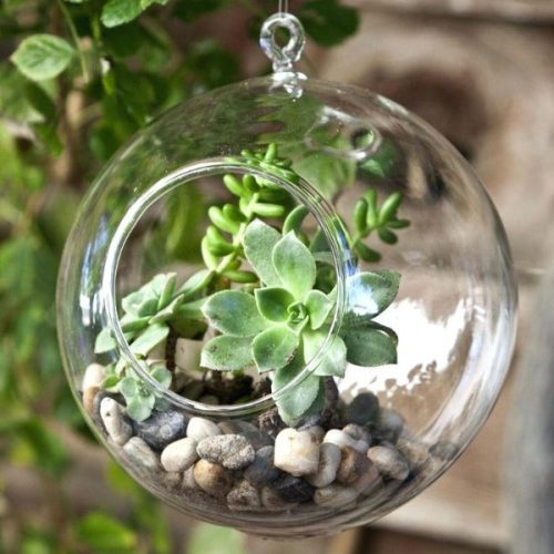 glass globes for plants hanging terrariums decorative glass terrarium glass globes for plants glass globes for plants