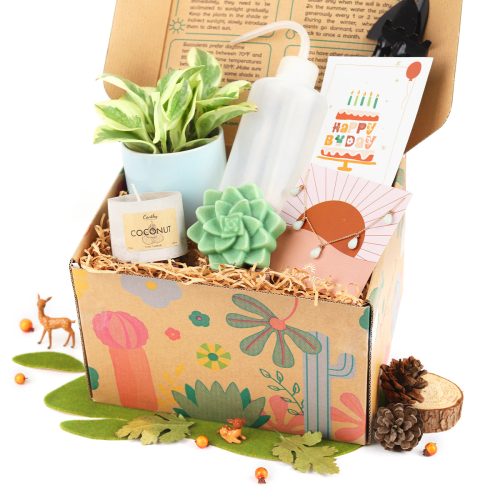 Premium Houseplant Gift Box for Women, Unique Women/ Girlfriend Gift Ideas, Women Jewelry Gift Ideas