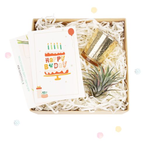 Customizable Gift Boxes for employees and clients, Office gift for employees, EcoFriendly Succulent Gift Box for Employee, Corporate Gift Succulents For Sale Online, Succulent Thank You Gift Ideas, Succulents and cactus make awesome wedding favors, Succulent gifts are a great choice for any wedding, DIY wedding succulent centerpieces