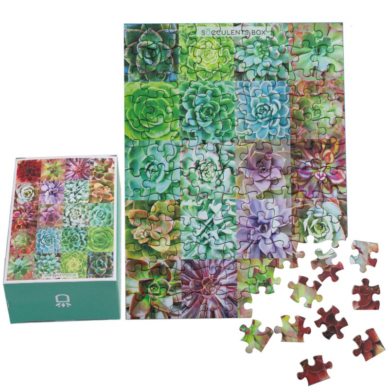 puzzle 1 3fe03b35 b919 481c a1b7 459fc62c5548