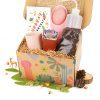 Succulent Beginner Kit Gift Box for Sale, Best Place to Buy Succulent Gift Box for Any Occasion