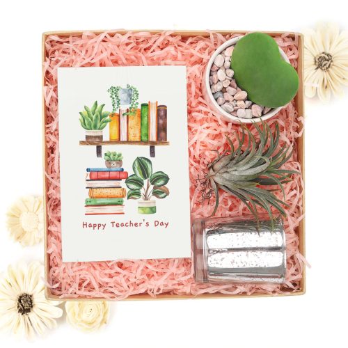 Corporate Gift Succulents For Sale Online, Succulent Thank You Gift Ideas, Thank you gift for your staff in 2023, Customizable Gift Boxes for employees and clients, Office gift for employees, Employee appreciation day 2023 ideas