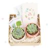 EcoFriendly Succulent Gift Box for Employee, Corporate Gift Succulents For Sale Online, Succulent Thank You Gift Ideas, Thank you gift for your staff in 2022, Customizable Gift Boxes for employees and clients, Office gift for employees, Employee appreciation day 2022 ideas, Succulent Plants for Clients & Employees for sale